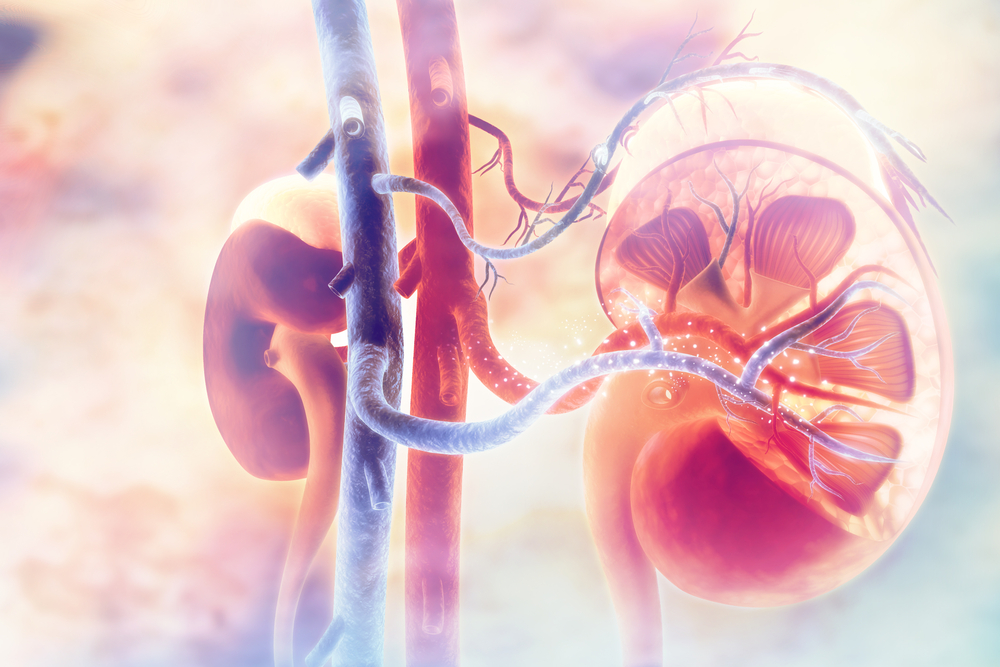 Healthy Kidney Damage