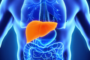 Tips to Keep the Liver Healthy