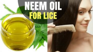 Use Neem Oil for Lice to Keep hairs Beautiful