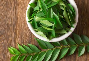 Curry Leaves