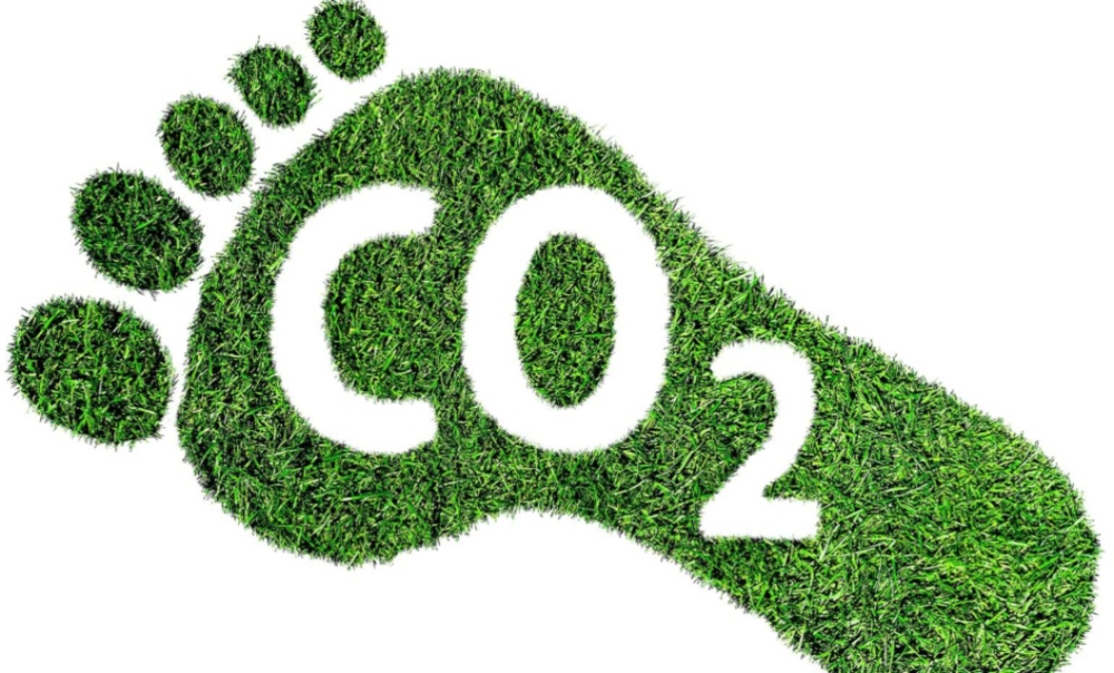 Carbon footprint