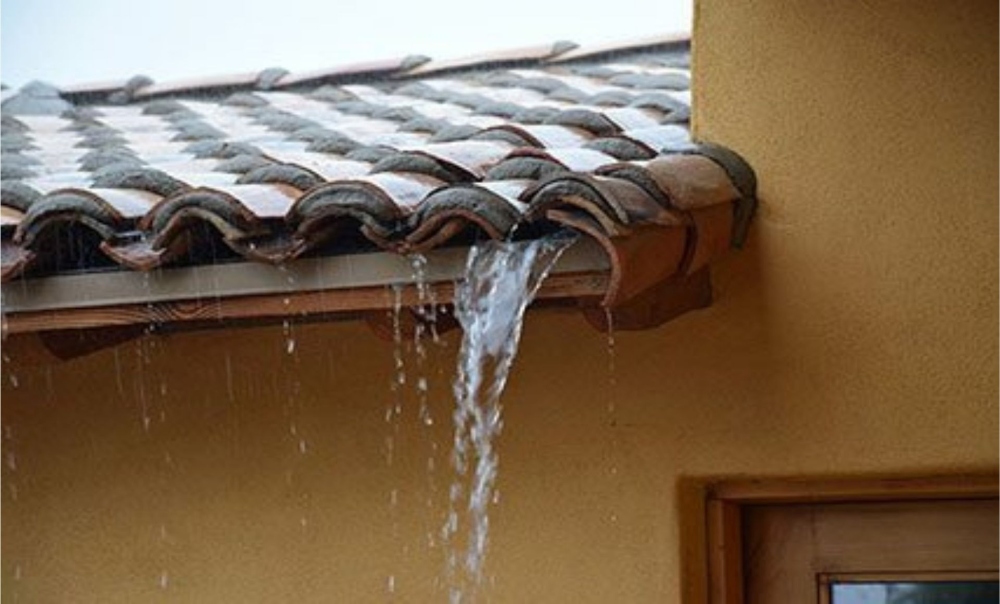 Implement Rainwater Harvesting