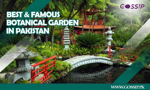 7 Best and Famous Botanical Garden in Pakistan