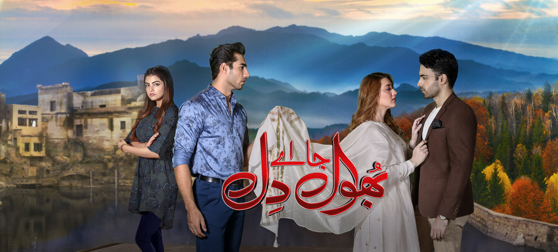 HUM TV Drama Bhool Jaa Ay Dil Storyline