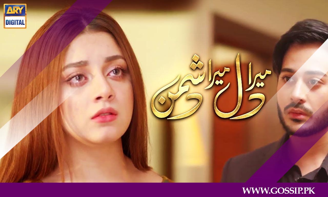 Mera Dil Mera Dushman Drama