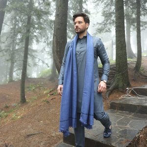 Mikaal Zulfiqar Net Worth