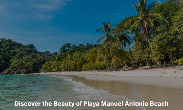 Discover the Beauty of Playa Manuel Antonio Beach