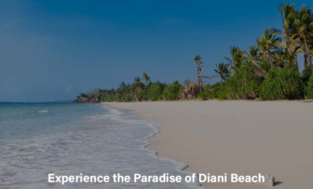 Experience the Paradise of Diani Beach