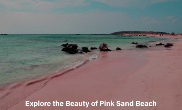 Explore the Beauty of Pink Sand Beach