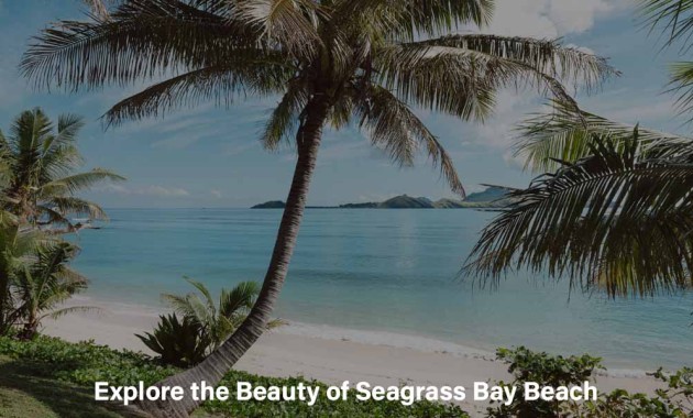 Explore the Beauty of Seagrass Bay Beach