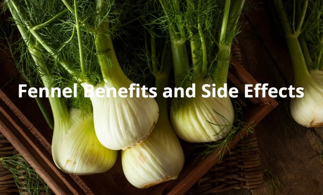 Fennel Benefits and Side Effects