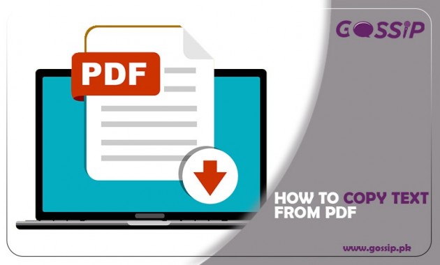 How to Copy Text From a PDF File to Word Document?