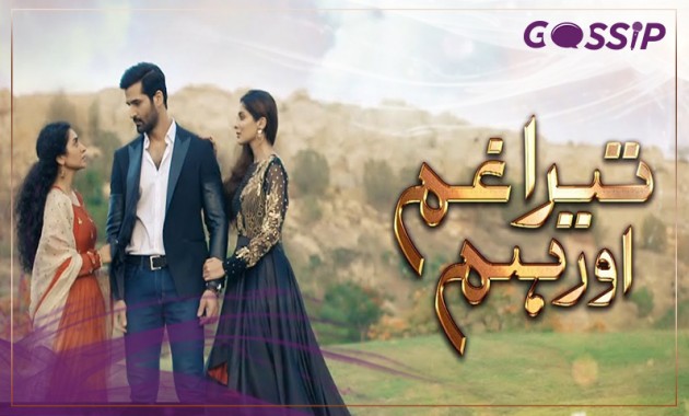 Tera Gham Aur Hum Drama Review, Cast, Full OST, Storyline, Timing