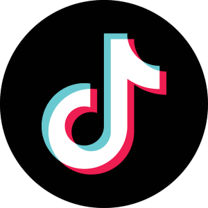 Hareem Shah tiktok logo