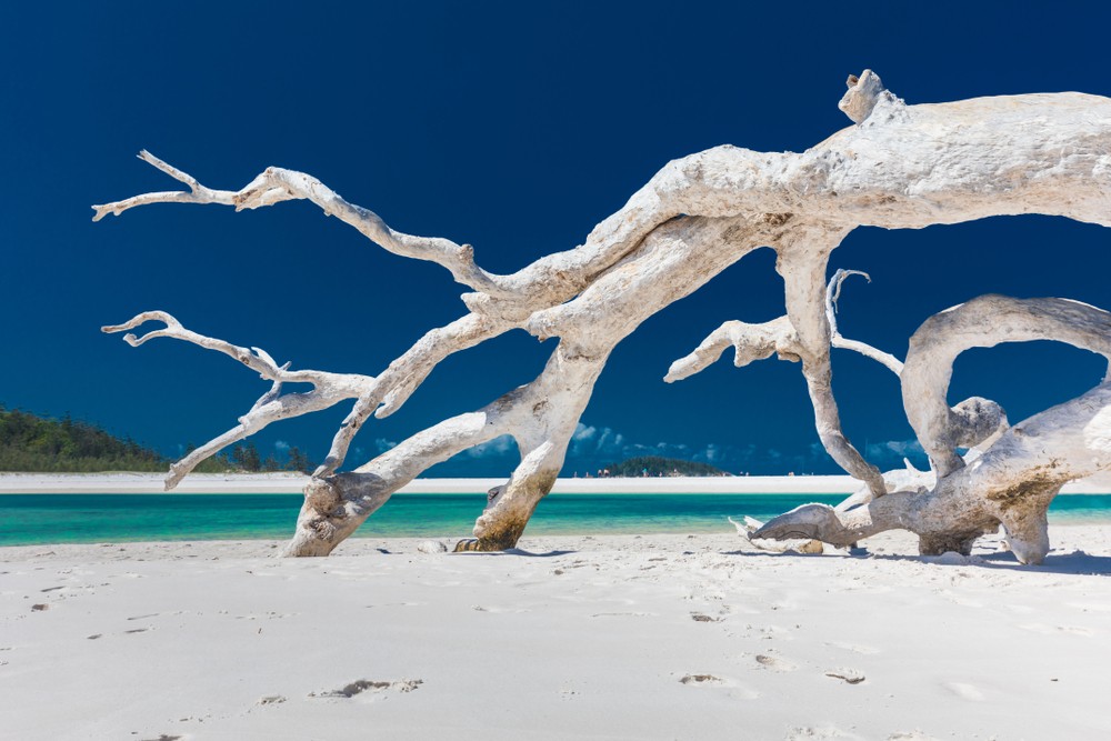 Whitehaven Beach