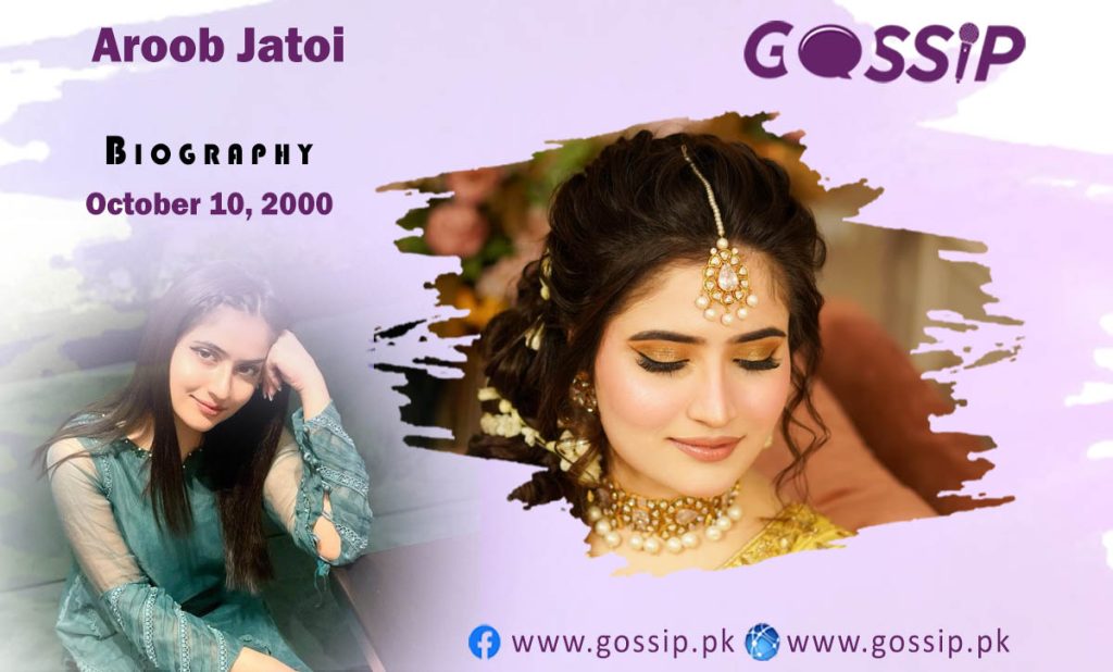 Aroob Jatoi Biography- Age, Family, YouTube, and Networth