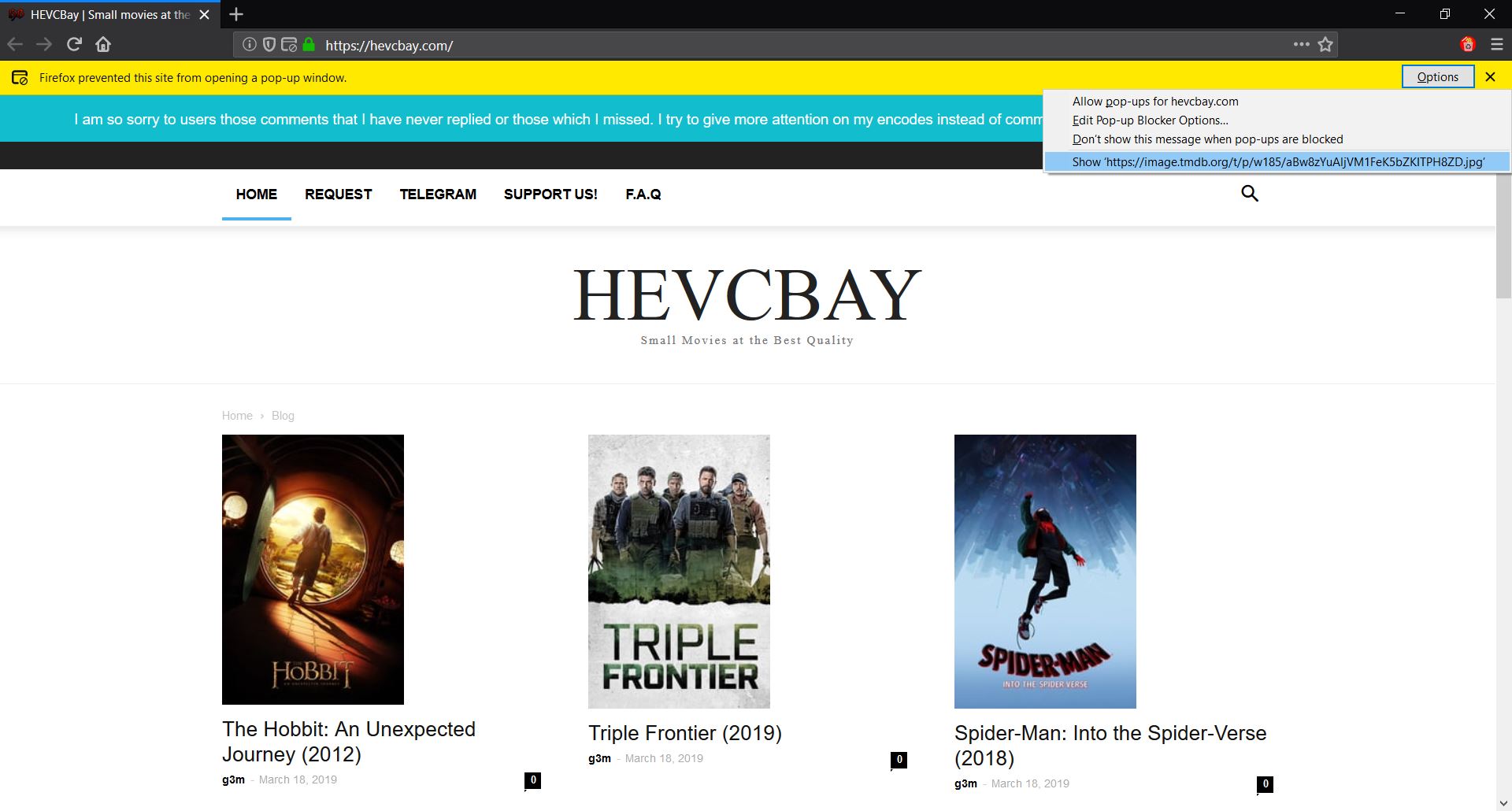 HEVCBay