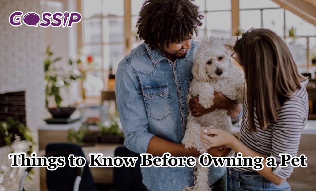 Things to Know Before Owning a Pet