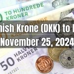 Danish Krone (DKK) to Pakistani Rupee (PKR) Today - November 25, 2024